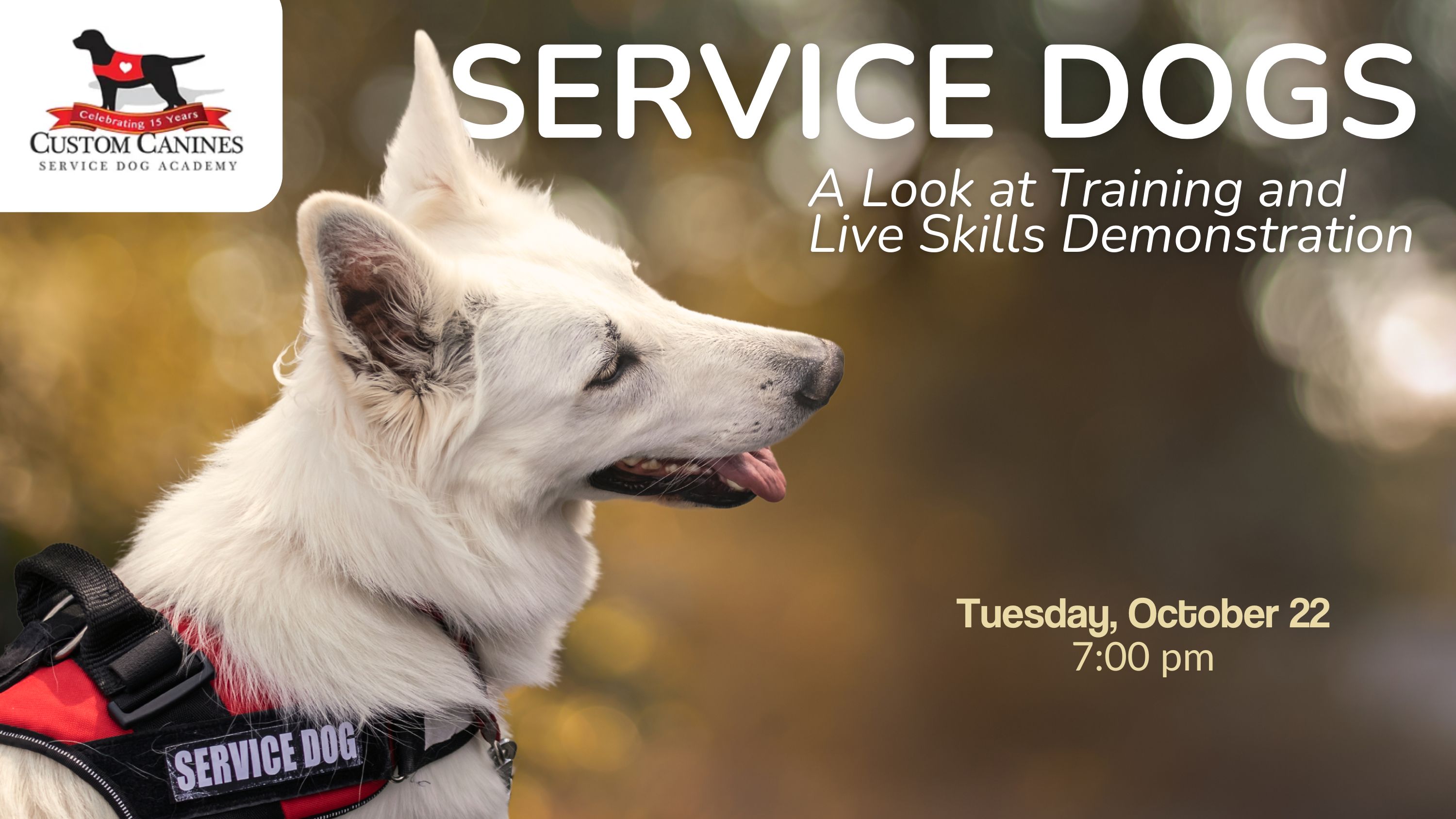 smiling service dog with white fur